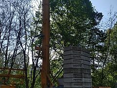 Liebherr 32 TTR